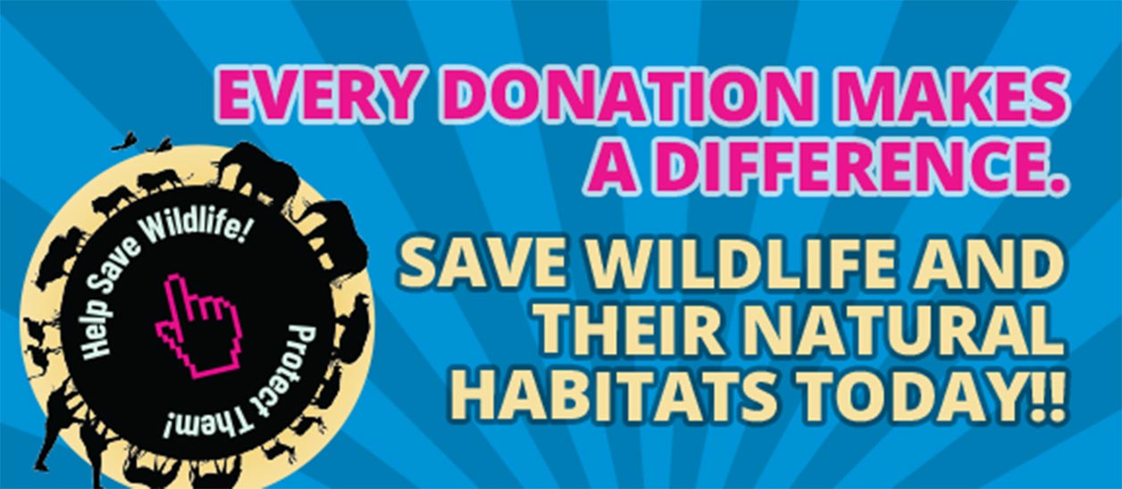 Help Conserve Wildlife!